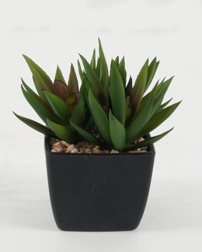 Artificial succulent in PP pot GS-51722142 Artificial succulent 9*9*10cm Artificial succulent in PP pot GS-51722142 Succulent YeahFlower is one of Chinese leading OEM manufacturers and exporters , supplying the silk flowers, wholesale artificial trees