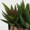 Artificial succulent in PP pot GS-51722142_4 Artificial succulent 9*9*10cm Artificial succulent in PP pot GS-51722142 Succulent YeahFlower is one of Chinese leading OEM manufacturers and exporters , supplying the silk flowers, wholesale artificial trees