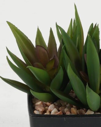 Artificial succulent 9*9*10cm Artificial succulent in PP pot GS-51722142 Succulent YeahFlower is one of Chinese leading OEM manufacturers and exporters , supplying the silk flowers, wholesale artificial trees