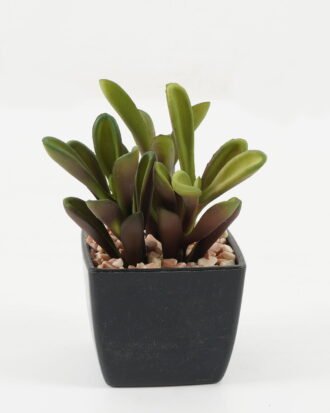 Artificial succulent 10*10*12cm Artificial succulent in PP pot GS-51722143 Succulent YeahFlower is one of Chinese leading OEM manufacturers and exporters , supplying the silk flowers, wholesale artificial trees