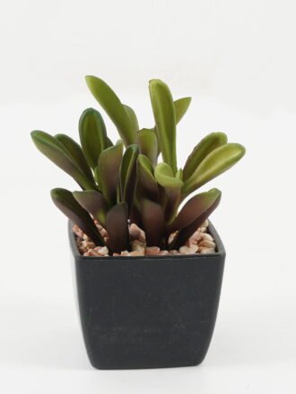 Artificial succulent 8*8*11cm Artificial succulent in PP pot GS-51722144 Succulent 3,000+ sqm showroom with thousands of artificial flowers, plants & trees ready for global sourcing.
