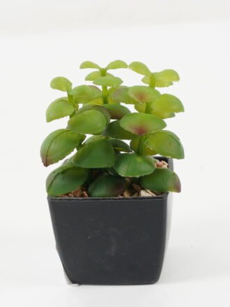 Artificial succulent 9*9*11cm Artificial succulent in PP pot GS-51722145 Succulent 3,000+ sqm showroom with thousands of artificial flowers, plants & trees ready for global sourcing.