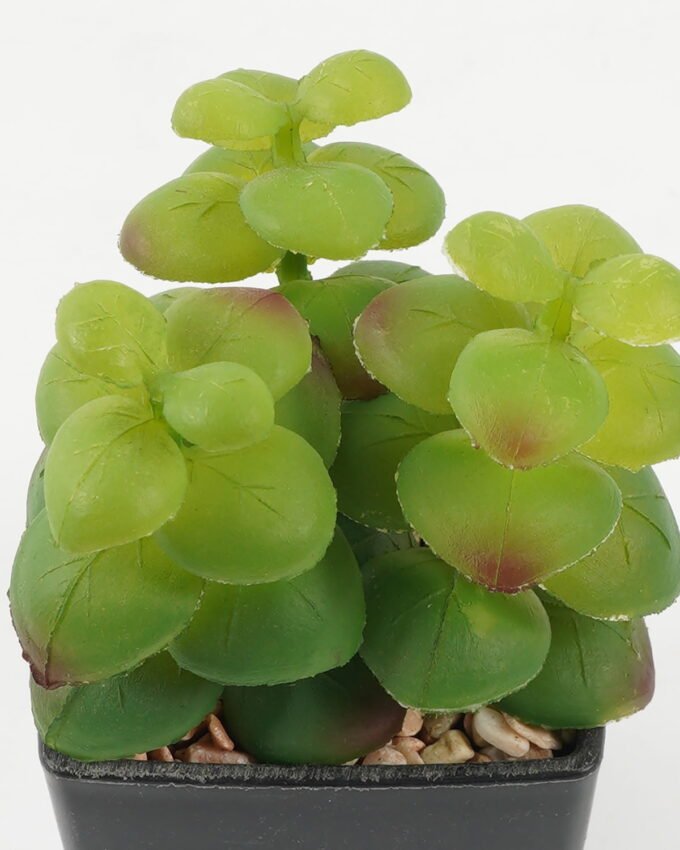 Artificial succulent 8*8*11cm Artificial succulent in PP pot GS-51722144 Succulent YeahFlower is one of Chinese leading OEM manufacturers and exporters , supplying the silk flowers, wholesale artificial trees