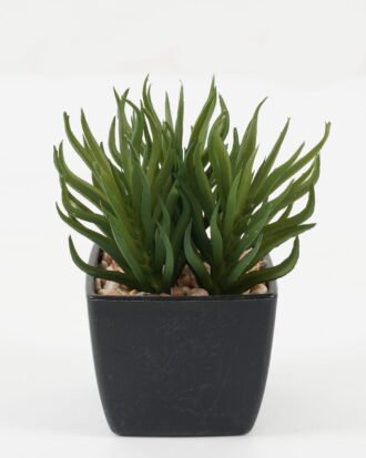 Artificial succulent 9*9*11cm Artificial succulent in PP pot GS-51722145 Succulent YeahFlower is one of Chinese leading OEM manufacturers and exporters , supplying the silk flowers, wholesale artificial trees