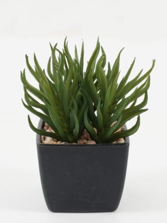 Artificial succulent 15*15*10cm Artificial succulent in PP pot GS-51722146 Succulent 3,000+ sqm showroom with thousands of artificial flowers, plants & trees ready for global sourcing.