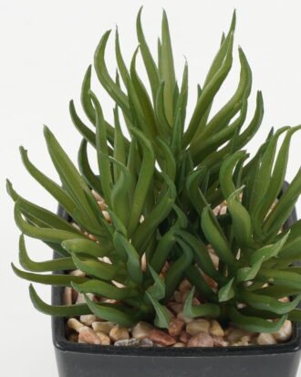 Artificial succulent 9*9*11cm Artificial succulent in PP pot GS-51722145 Succulent YeahFlower is one of Chinese leading OEM manufacturers and exporters , supplying the silk flowers, wholesale artificial trees