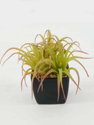 Artificial succulent 9*9*11cm Artificial succulent in PP pot GS-51722145 Succulent 3,000+ sqm showroom with thousands of artificial flowers, plants & trees ready for global sourcing.