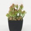 Artificial succulent 9*9*11cm Artificial succulent in PP pot GS-51722147 Succulent YeahFlower is one of Chinese leading OEM manufacturers and exporters , supplying the silk flowers, wholesale artificial trees
