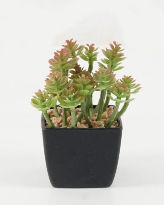 Artificial succulent 9*9*11cm Artificial succulent in PP pot GS-51722147 Succulent YeahFlower is one of Chinese leading OEM manufacturers and exporters , supplying the silk flowers, wholesale artificial trees