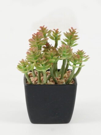 Artificial succulent 15*15*10cm Artificial succulent in PP pot GS-51722146 Succulent 3,000+ sqm showroom with thousands of artificial flowers, plants & trees ready for global sourcing.