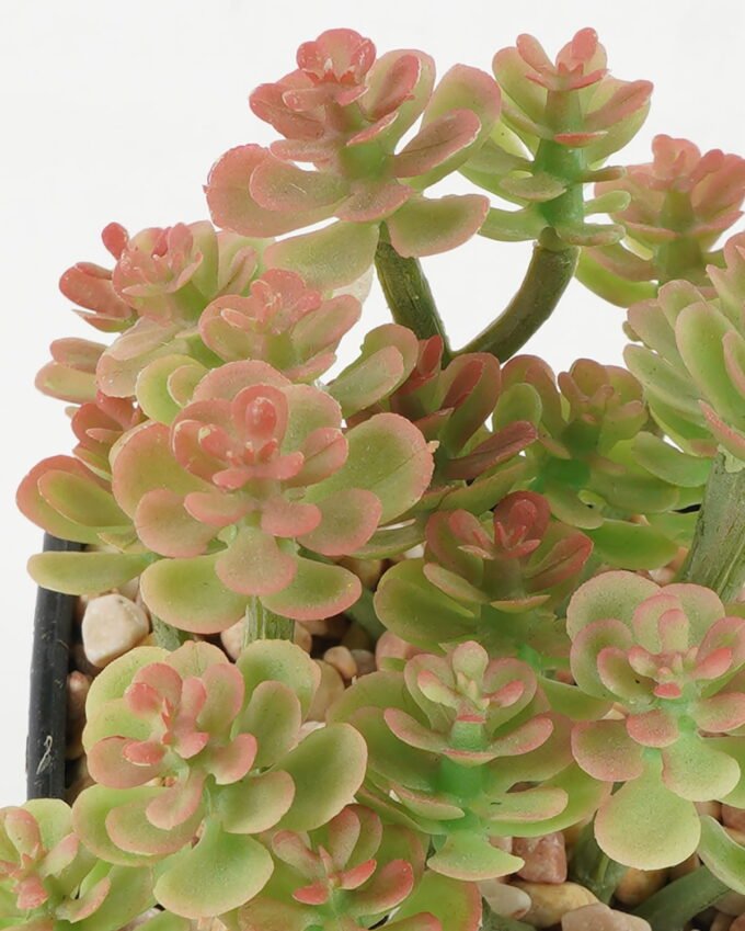 Artificial succulent 9*9*11cm Artificial succulent in PP pot GS-51722147 Succulent YeahFlower is one of Chinese leading OEM manufacturers and exporters , supplying the silk flowers, wholesale artificial trees