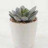 Artificial succulent 7*7*10cm Artificial succulent in ceramic pot GS-51722100 Succulent YeahFlower is one of Chinese leading OEM manufacturers and exporters , supplying the silk flowers, wholesale artificial trees