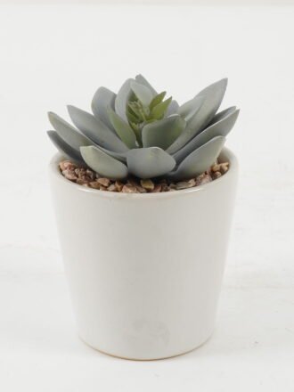 Artificial succulent 8*8*7cm Artificial succulent in Cement pot GS-51722099 Succulent 3,000+ sqm showroom with thousands of artificial flowers, plants & trees ready for global sourcing.