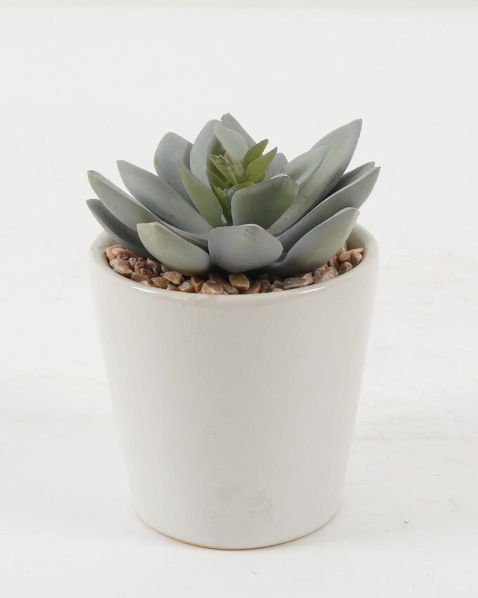 Artificial succulent 7*7*10cm Artificial succulent in ceramic pot GS-51722100 Succulent YeahFlower is one of Chinese leading OEM manufacturers and exporters , supplying the silk flowers, wholesale artificial trees