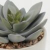 Artificial succulent 7*7*10cm Artificial succulent in ceramic pot GS-51722100 Succulent YeahFlower is one of Chinese leading OEM manufacturers and exporters , supplying the silk flowers, wholesale artificial trees