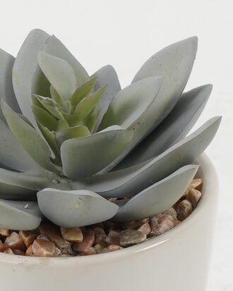 Artificial succulent 7*7*10cm Artificial succulent in ceramic pot GS-51722100 Succulent YeahFlower is one of Chinese leading OEM manufacturers and exporters , supplying the silk flowers, wholesale artificial trees