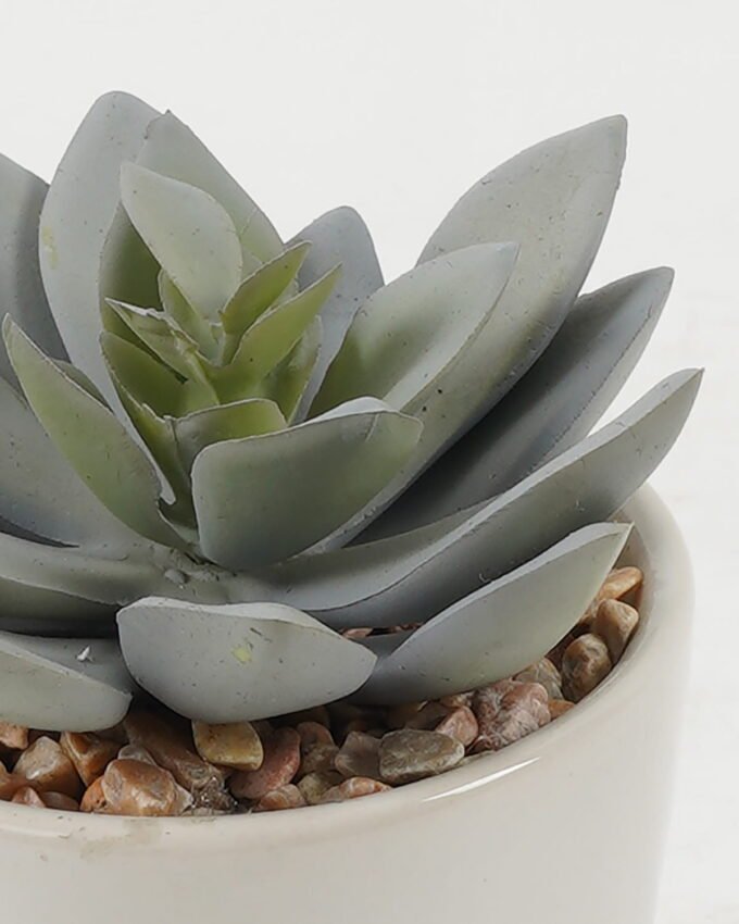 Artificial succulent 7*7*10cm Artificial succulent in ceramic pot GS-51722100 Succulent YeahFlower is one of Chinese leading OEM manufacturers and exporters , supplying the silk flowers, wholesale artificial trees