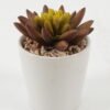 Artificial succulent 8*8*10cm Artificial succulent in ceramic pot GS-51722101 Succulent YeahFlower is one of Chinese leading OEM manufacturers and exporters , supplying the silk flowers, wholesale artificial trees