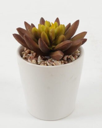 Artificial succulent 8*8*10cm Artificial succulent in ceramic pot GS-51722101 Succulent YeahFlower is one of Chinese leading OEM manufacturers and exporters , supplying the silk flowers, wholesale artificial trees