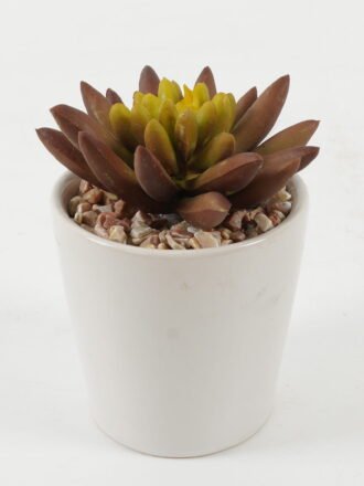 Artificial succulent 10*10*10cm Artificial succulent in ceramic pot GS-51722102 Succulent 3,000+ sqm showroom with thousands of artificial flowers, plants & trees ready for global sourcing.