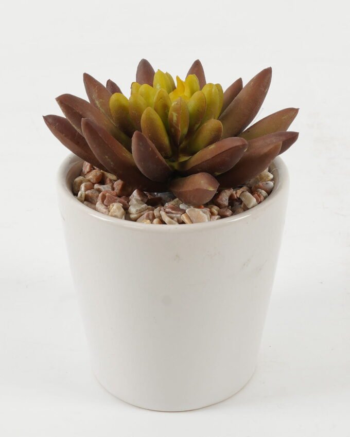 Artificial succulent 8*8*10cm Artificial succulent in ceramic pot GS-51722101 Succulent YeahFlower is one of Chinese leading OEM manufacturers and exporters , supplying the silk flowers, wholesale artificial trees