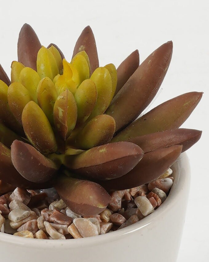 Artificial succulent 8*8*10cm Artificial succulent in ceramic pot GS-51722101 Succulent YeahFlower is one of Chinese leading OEM manufacturers and exporters , supplying the silk flowers, wholesale artificial trees