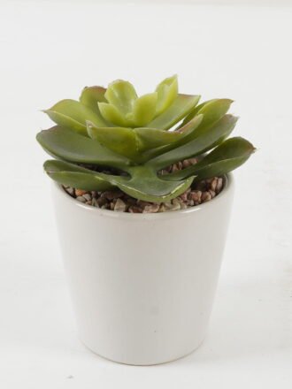 Artificial succulent 8*8*10cm Artificial succulent in ceramic pot GS-51722101 Succulent 3,000+ sqm showroom with thousands of artificial flowers, plants & trees ready for global sourcing.