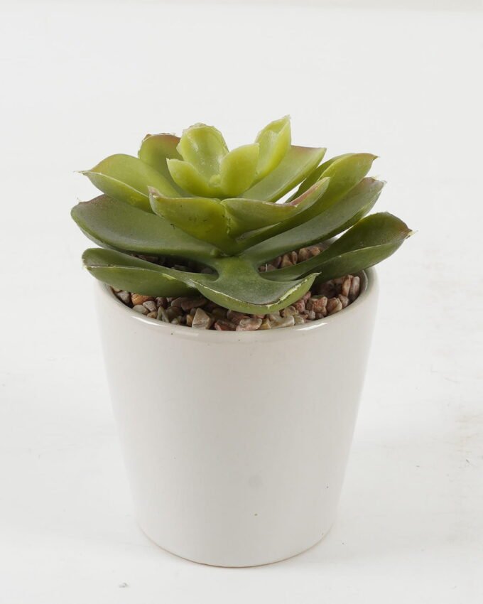 Artificial succulent 10*10*10cm Artificial succulent in ceramic pot GS-51722102 Succulent YeahFlower is one of Chinese leading OEM manufacturers and exporters , supplying the silk flowers, wholesale artificial trees