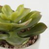 Artificial succulent 10*10*10cm Artificial succulent in ceramic pot GS-51722102 Succulent YeahFlower is one of Chinese leading OEM manufacturers and exporters , supplying the silk flowers, wholesale artificial trees