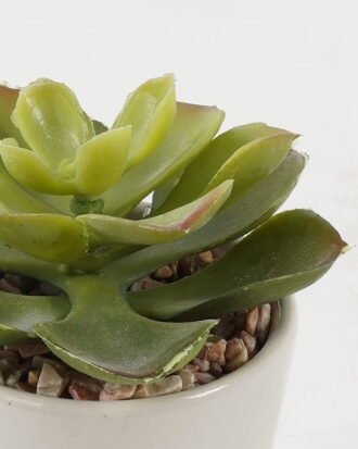 Artificial succulent 10*10*10cm Artificial succulent in ceramic pot GS-51722102 Succulent YeahFlower is one of Chinese leading OEM manufacturers and exporters , supplying the silk flowers, wholesale artificial trees