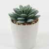 Artificial succulent 7*7*10cm Artificial succulent in ceramic pot GS-51722103 Succulent YeahFlower is one of Chinese leading OEM manufacturers and exporters , supplying the silk flowers, wholesale artificial trees