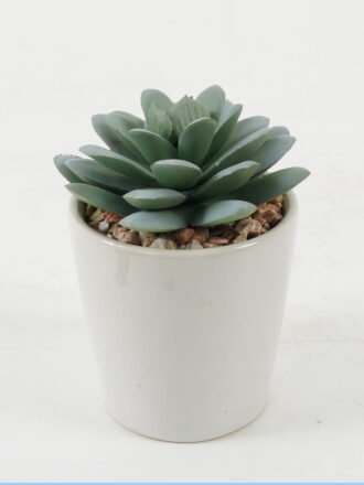 Artificial succulent 10*10*10cm Artificial succulent in ceramic pot GS-51722102 Succulent 3,000+ sqm showroom with thousands of artificial flowers, plants & trees ready for global sourcing.