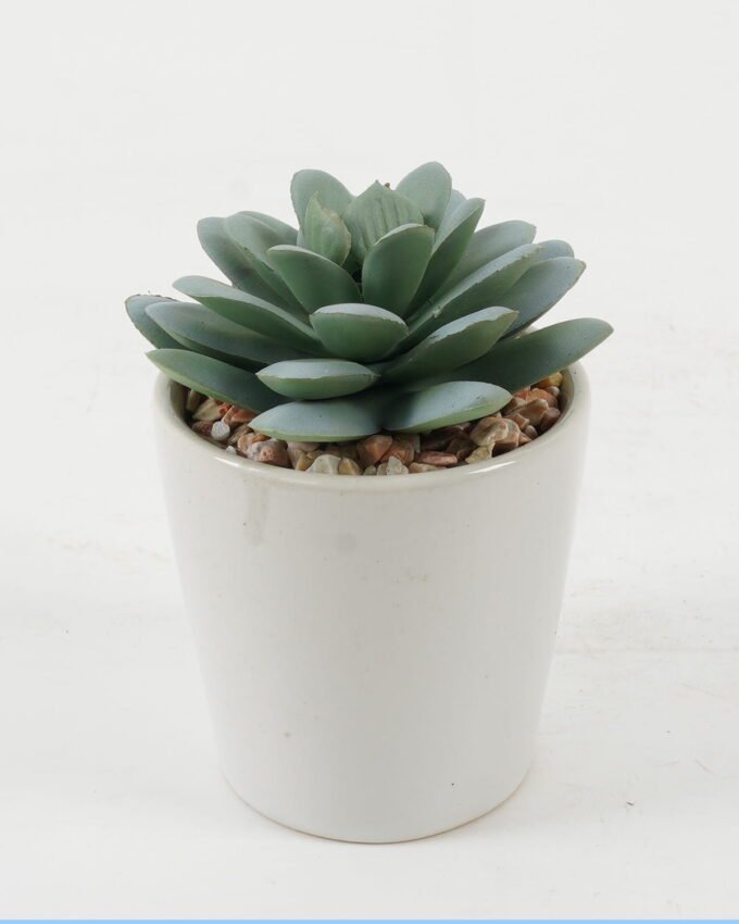 Artificial succulent 7*7*10cm Artificial succulent in ceramic pot GS-51722103 Succulent YeahFlower is one of Chinese leading OEM manufacturers and exporters , supplying the silk flowers, wholesale artificial trees