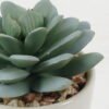 Artificial succulent 7*7*10cm Artificial succulent in ceramic pot GS-51722103 Succulent YeahFlower is one of Chinese leading OEM manufacturers and exporters , supplying the silk flowers, wholesale artificial trees