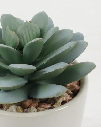 Artificial succulent 7*7*10cm Artificial succulent in ceramic pot GS-51722103 Succulent YeahFlower is one of Chinese leading OEM manufacturers and exporters , supplying the silk flowers, wholesale artificial trees