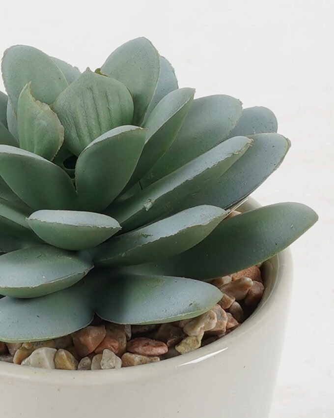 Artificial succulent 7*7*10cm Artificial succulent in ceramic pot GS-51722103 Succulent YeahFlower is one of Chinese leading OEM manufacturers and exporters , supplying the silk flowers, wholesale artificial trees