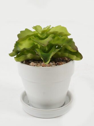 Artificial succulent 11*11*13cm Artificial succulent in ceramic pot GS-51722105 Succulent 3,000+ sqm showroom with thousands of artificial flowers, plants & trees ready for global sourcing.