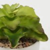 Artificial succulent in ceramic pot GS-51722104_1 Artificial succulent 12*12*13cm Artificial succulent in ceramic pot GS-51722104 Succulent YeahFlower is one of Chinese leading OEM manufacturers and exporters , supplying the silk flowers, wholesale artificial trees