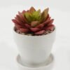 Artificial succulent 11*11*13cm Artificial succulent in ceramic pot GS-51722105 Succulent 3,000+ sqm showroom with thousands of artificial flowers, plants & trees ready for global sourcing.
