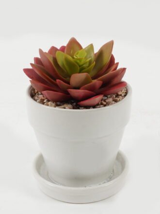 Artificial succulent 11*11*12cm Artificial succulent in ceramic pot GS-51722106 Succulent 3,000+ sqm showroom with thousands of artificial flowers, plants & trees ready for global sourcing.