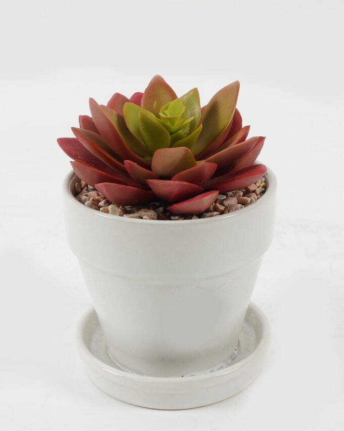 Artificial succulent 11*11*13cm Artificial succulent in ceramic pot GS-51722105 Succulent 3,000+ sqm showroom with thousands of artificial flowers, plants & trees ready for global sourcing.