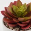 Artificial succulent 11*11*13cm Artificial succulent in ceramic pot GS-51722105 Succulent 3,000+ sqm showroom with thousands of artificial flowers, plants & trees ready for global sourcing.