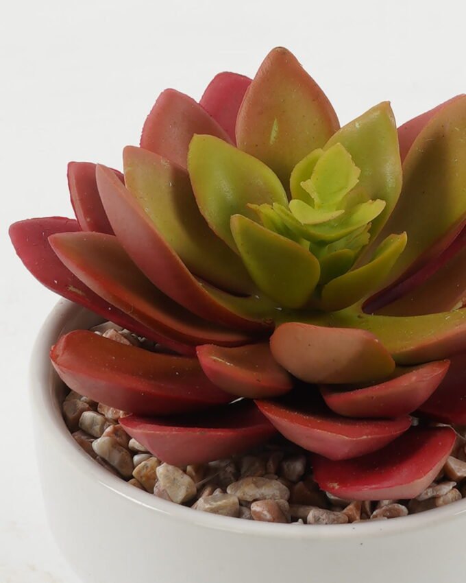 Artificial succulent 11*11*13cm Artificial succulent in ceramic pot GS-51722105 Succulent 3,000+ sqm showroom with thousands of artificial flowers, plants & trees ready for global sourcing.