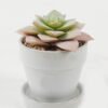 Artificial succulent in ceramic pot GS-51722106 Artificial succulent 11*11*12cm Artificial succulent in ceramic pot GS-51722106 Succulent YeahFlower is one of Chinese leading OEM manufacturers and exporters , supplying the silk flowers, wholesale artificial trees