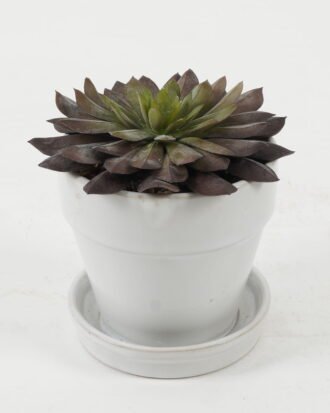 Artificial succulent 11*11*11cm Artificial succulent in ceramic pot GS-51722107 Succulent YeahFlower is one of Chinese leading OEM manufacturers and exporters , supplying the silk flowers, wholesale artificial trees
