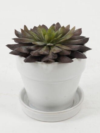 Artificial succulent 11*11*12cm Artificial succulent in ceramic pot GS-51722106 Succulent 3,000+ sqm showroom with thousands of artificial flowers, plants & trees ready for global sourcing.