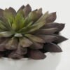 Artificial succulent 11*11*11cm Artificial succulent in ceramic pot GS-51722107 Succulent YeahFlower is one of Chinese leading OEM manufacturers and exporters , supplying the silk flowers, wholesale artificial trees