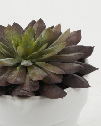 Artificial succulent 11*11*11cm Artificial succulent in ceramic pot GS-51722107 Succulent YeahFlower is one of Chinese leading OEM manufacturers and exporters , supplying the silk flowers, wholesale artificial trees