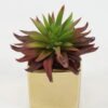 Artificial succulent in ceramic pot GS-51722108 Artificial succulent 12*12*13cm Artificial succulent in ceramic pot GS-51722108 Succulent YeahFlower is one of Chinese leading OEM manufacturers and exporters , supplying the silk flowers, wholesale artificial trees
