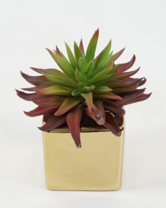 Artificial succulent 12*12*13cm Artificial succulent in ceramic pot GS-51722108 Succulent YeahFlower is one of Chinese leading OEM manufacturers and exporters , supplying the silk flowers, wholesale artificial trees Artificial succulent 12*12*13cm Artificial succulent in ceramic pot GS-51722108 Succulent YeahFlower is one of Chinese leading OEM manufacturers and exporters , supplying the silk flowers, wholesale artificial trees